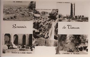Tlemcen - souvenirs